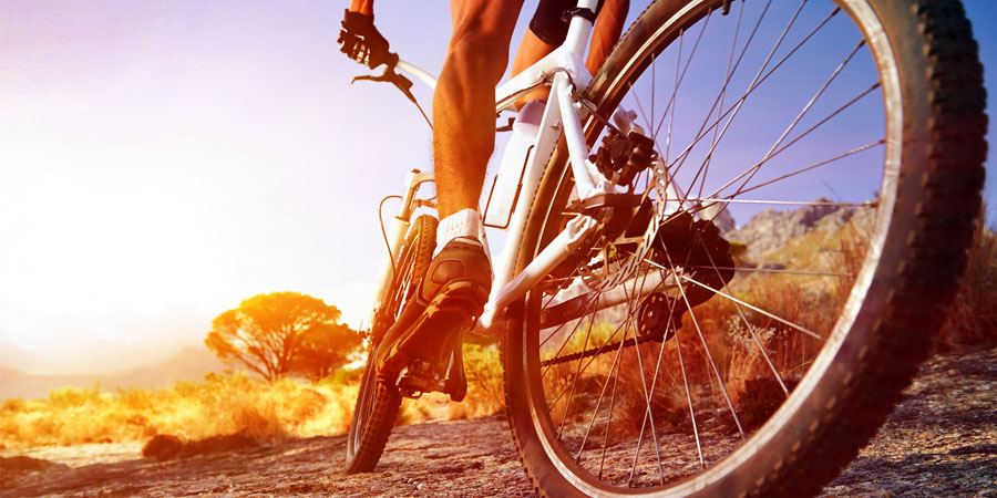 Industrie du vélo