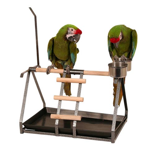 Percot Playstand Bird Playground